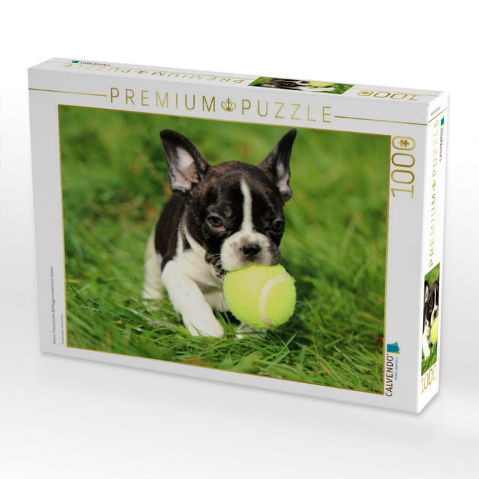 Kleiner Französischer Bulldoggenwelpe beim Spielen - CALVENDO Foto-Puzzle'