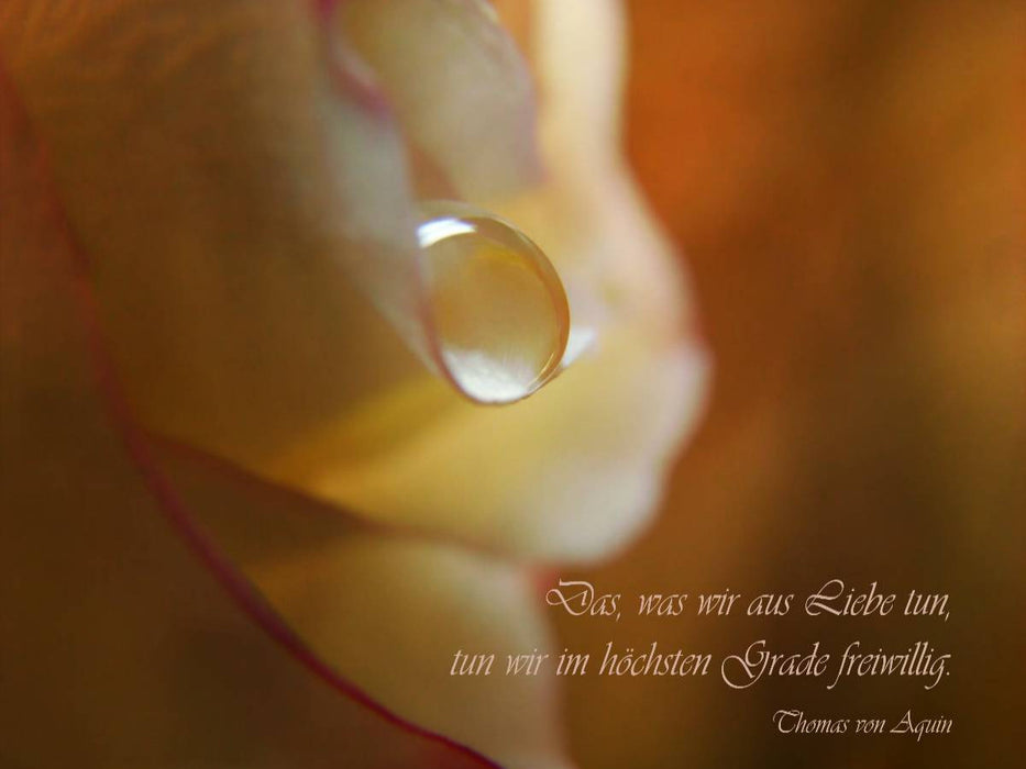 Motivation zur Liebe - CALVENDO Foto-Puzzle'