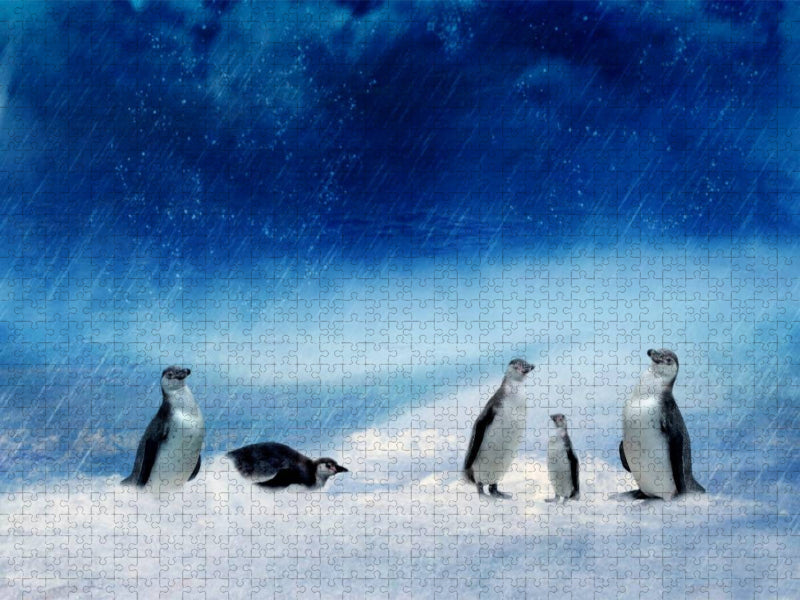 Lustige Pinguinfamilie im Schneesturm - CALVENDO Foto-Puzzle'