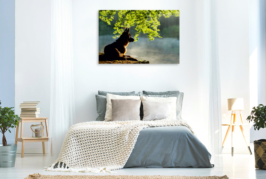 Premium Textil-Leinwand Premium Textil-Leinwand 120 cm x 80 cm quer Ein Motiv aus dem Kalender Deutscher Schäferhund Yack