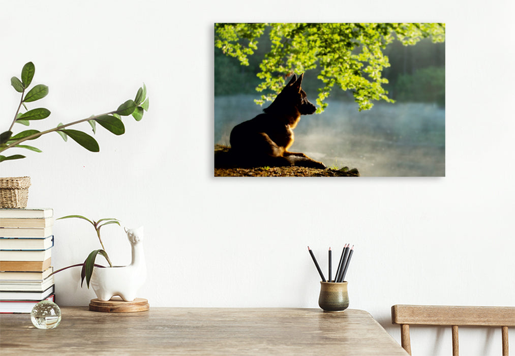 Premium Textil-Leinwand Premium Textil-Leinwand 120 cm x 80 cm quer Ein Motiv aus dem Kalender Deutscher Schäferhund Yack