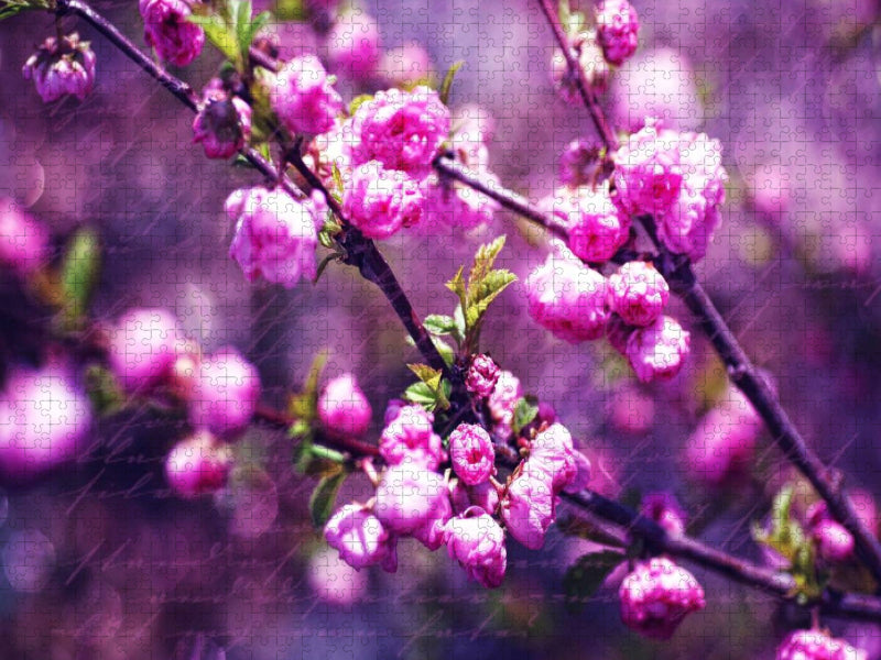 Mandelblüten Vintage Style - CALVENDO Foto-Puzzle'