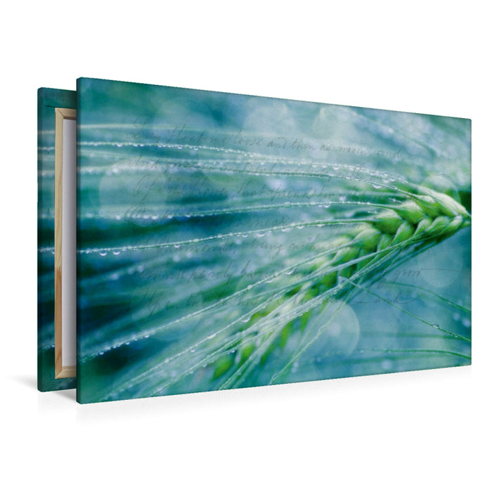 Premium Textil-Leinwand Romantischer Weizen