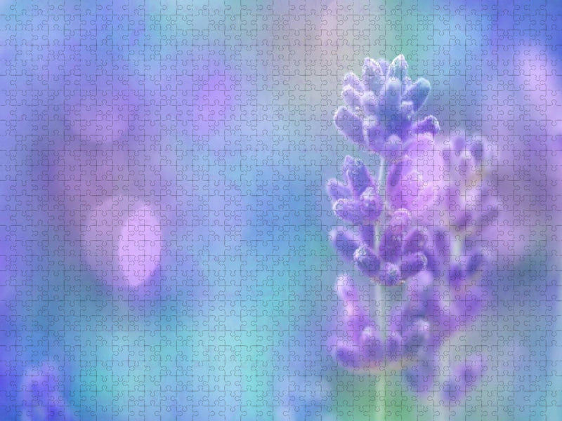 Romantischer Lavendel - CALVENDO Foto-Puzzle'