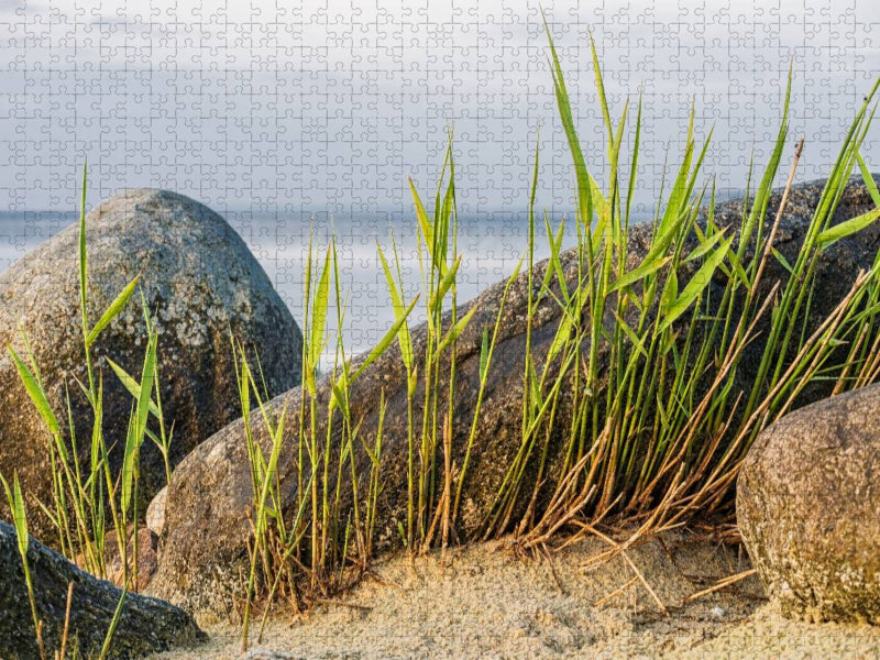 Steine und Schilfgras - CALVENDO Foto-Puzzle'
