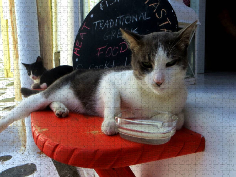 Milchtrinkende Katze vor Taverne - CALVENDO Foto-Puzzle'