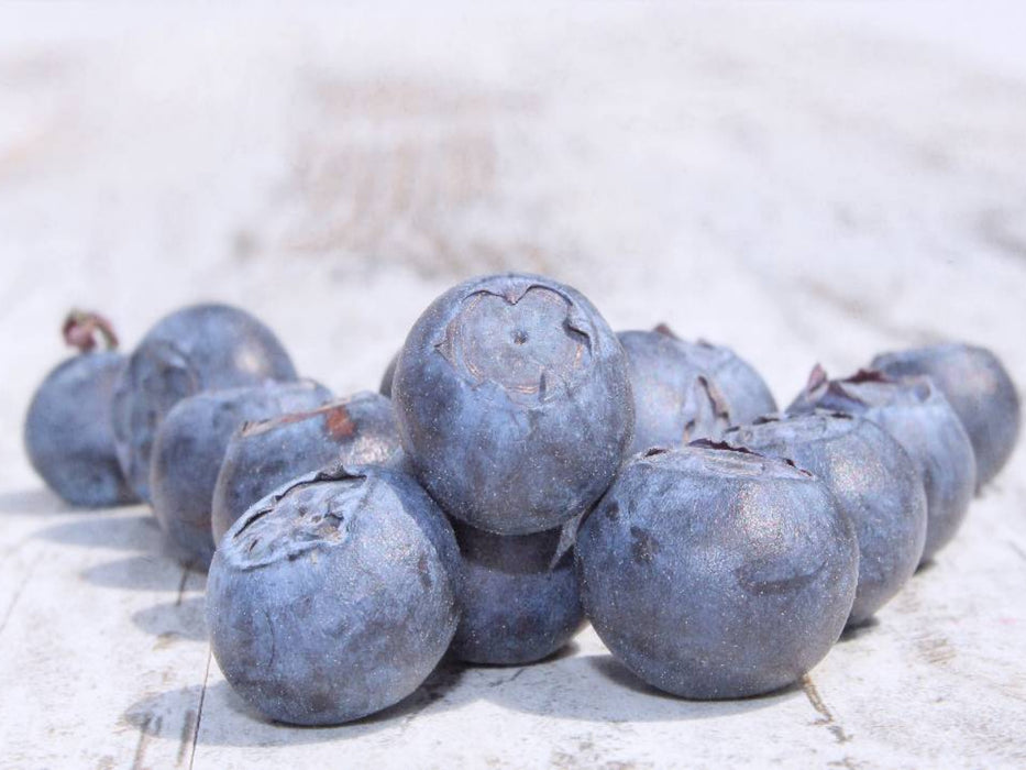 Heidelbeeren Stillleben - CALVENDO Foto-Puzzle'