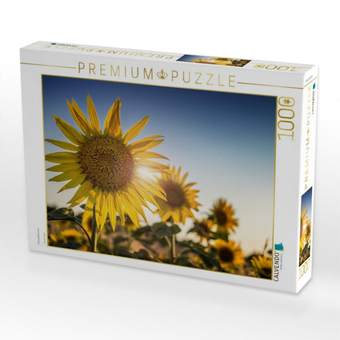 Sonnenblumen - CALVENDO Foto-Puzzle'