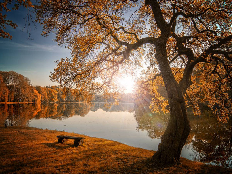 Herbstlicht - CALVENDO Foto-Puzzle'