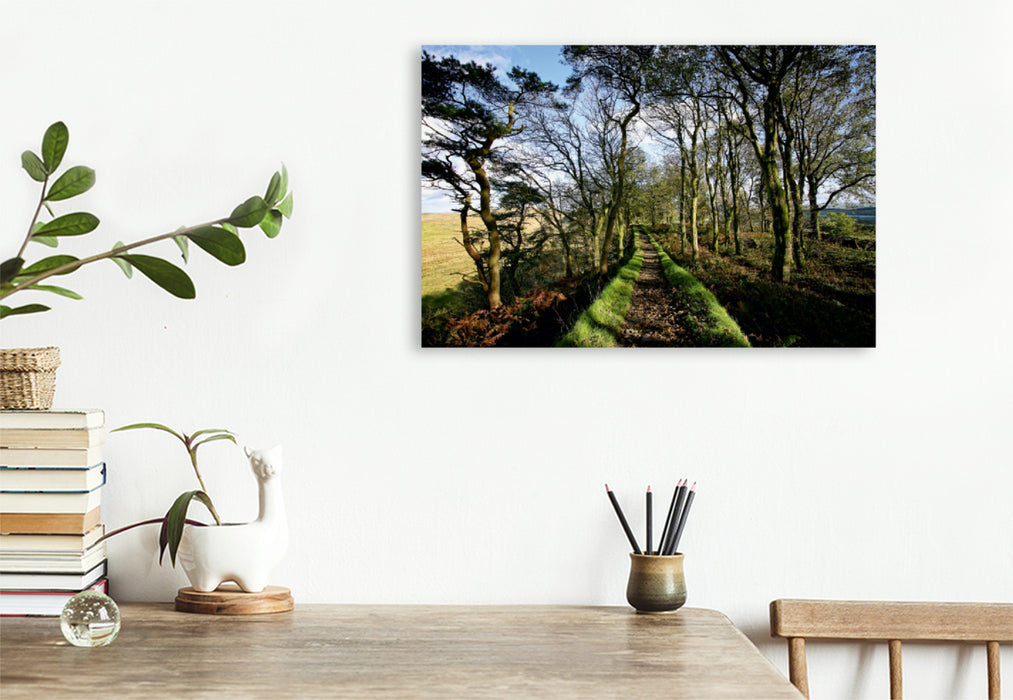 Toile textile haut de gamme Toile textile haut de gamme 120 cm x 80 cm sur le mur d'Hadrien, Cumbria, Lake District, Angleterre 