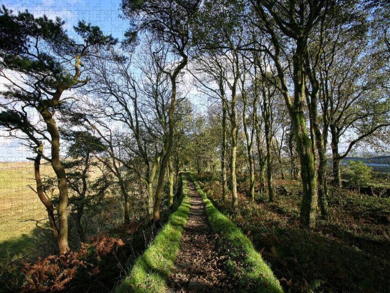 Hadrianswall, Cumbria, Lake District, England - CALVENDO Foto-Puzzle'
