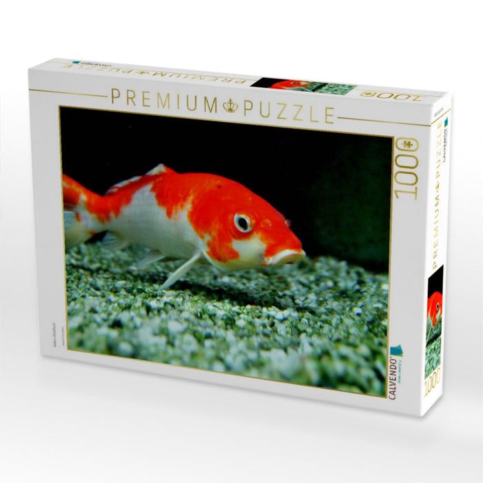 Wakin-Goldfisch - CALVENDO Foto-Puzzle'