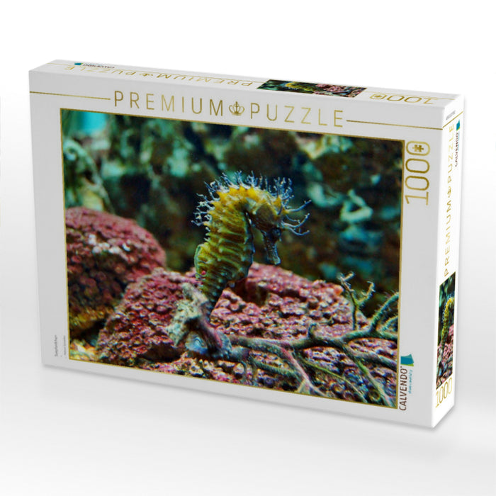 Seepferdchen - CALVENDO Foto-Puzzle'
