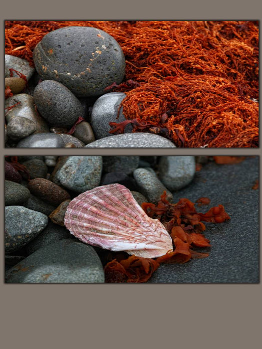 Steine und Muscheln am Strand - CALVENDO Foto-Puzzle'