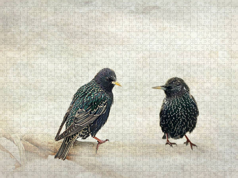 Hast du schon gehört? - CALVENDO Foto-Puzzle'