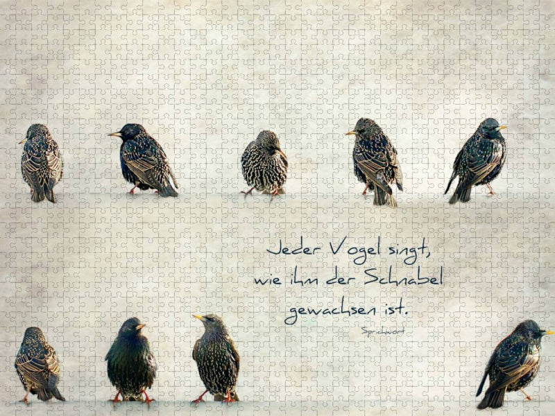 Jeder Vogel singt, wie ihm der Schnabel gewachsen ist - CALVENDO Foto-Puzzle'