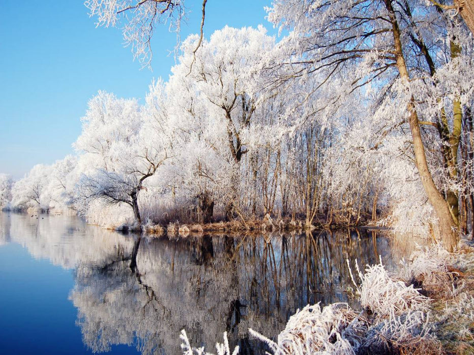 Raureif an der Havel im Havelland - CALVENDO Foto-Puzzle'