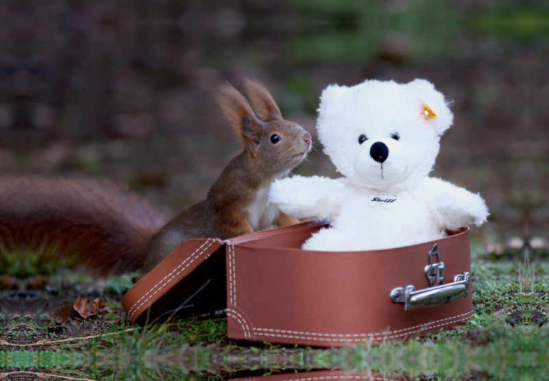 Premium Textil-Leinwand Du Teddy, ich hab dich sooo lieb!
