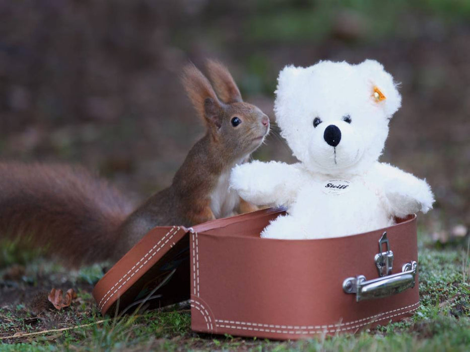 Du Teddy, ich hab dich sooo lieb! - CALVENDO Foto-Puzzle'