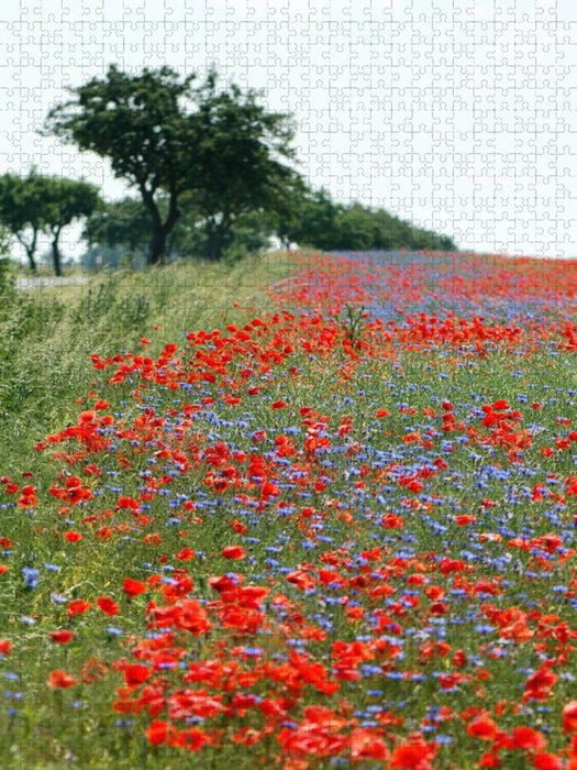 Mohnfeld. Landschaft im Havelland. - CALVENDO Foto-Puzzle'
