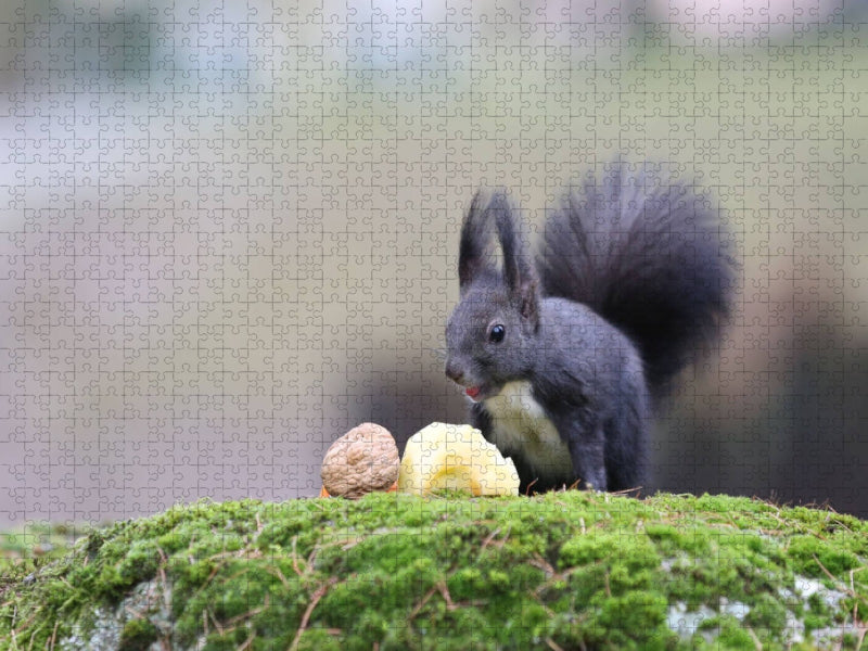 Als Nachtisch gab es heute mal ein Stück Apfel. Hat mir sehr gut geschmeckt...:-) - CALVENDO Foto-Puzzle'