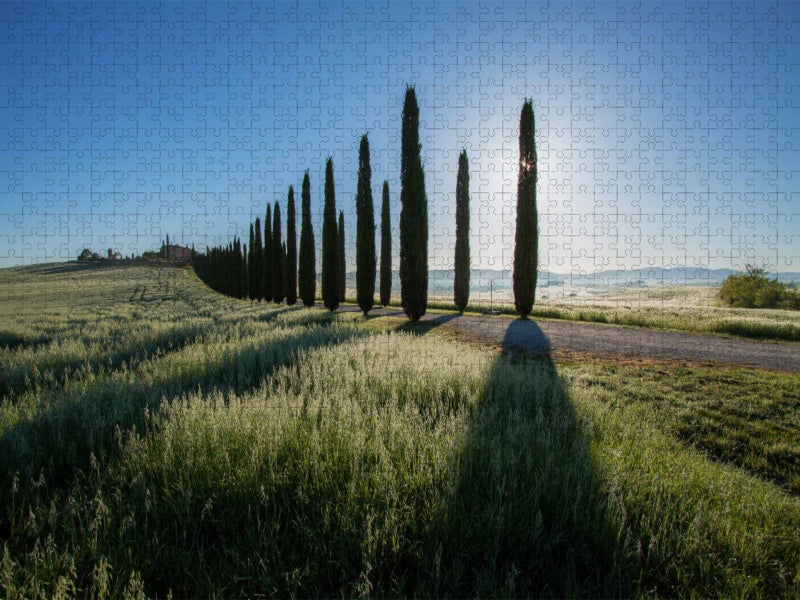 Zypressenallee - CALVENDO Foto-Puzzle'