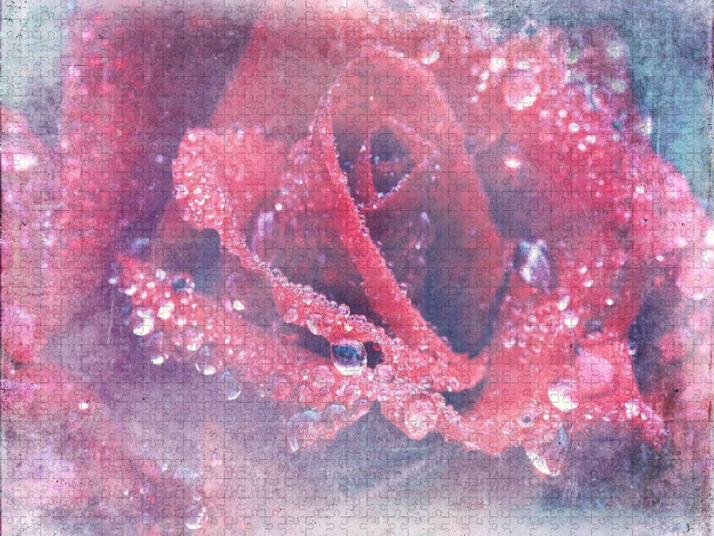 Romantische Rote Rose - Shabby Chic Style - CALVENDO Foto-Puzzle'