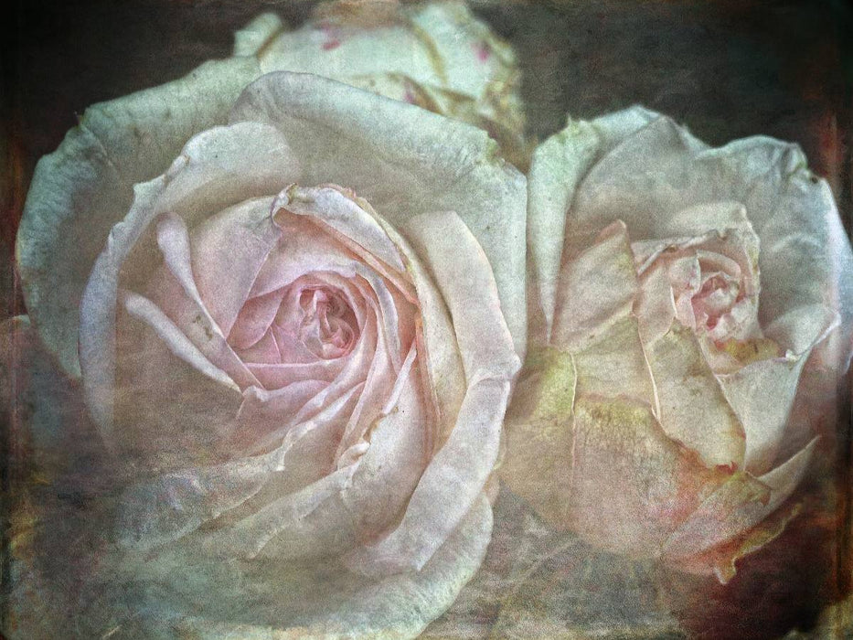 Romantische Rosen - Shabby Chic Style - CALVENDO Foto-Puzzle'