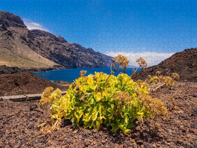 Landschaft auf Teneriffa - CALVENDO Foto-Puzzle'