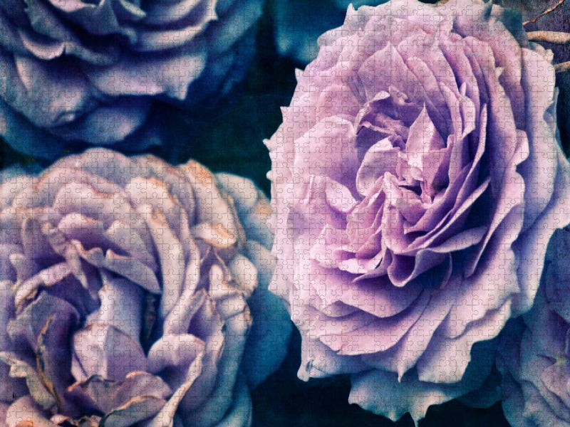 Romantische Rosen - Shabby Chic Style - CALVENDO Foto-Puzzle'