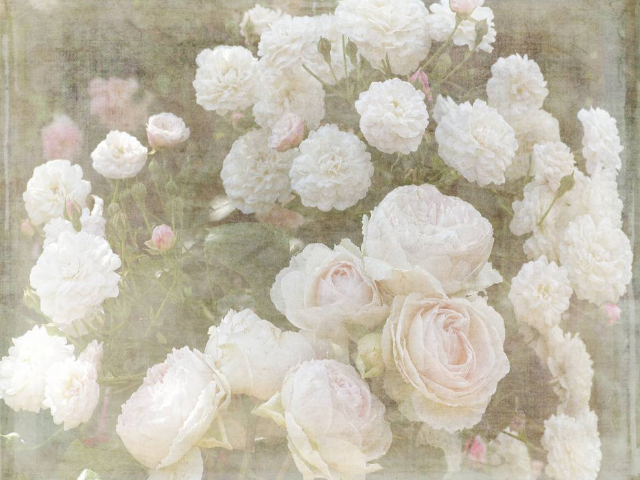 Romantische Rosen - Shabby Chic Style - CALVENDO Foto-Puzzle'