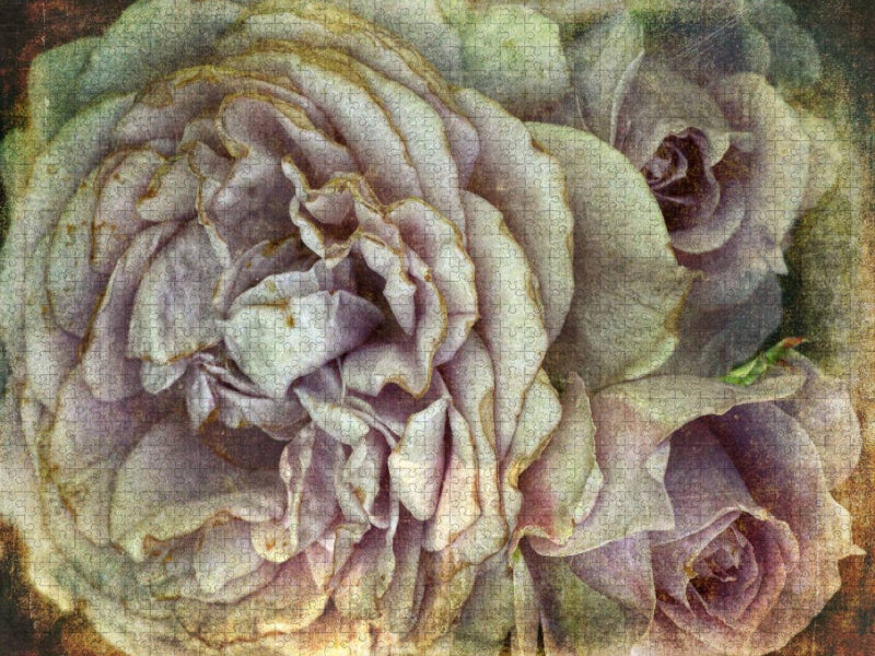 Romantische Rosen - Shabby Chic Style - CALVENDO Foto-Puzzle'