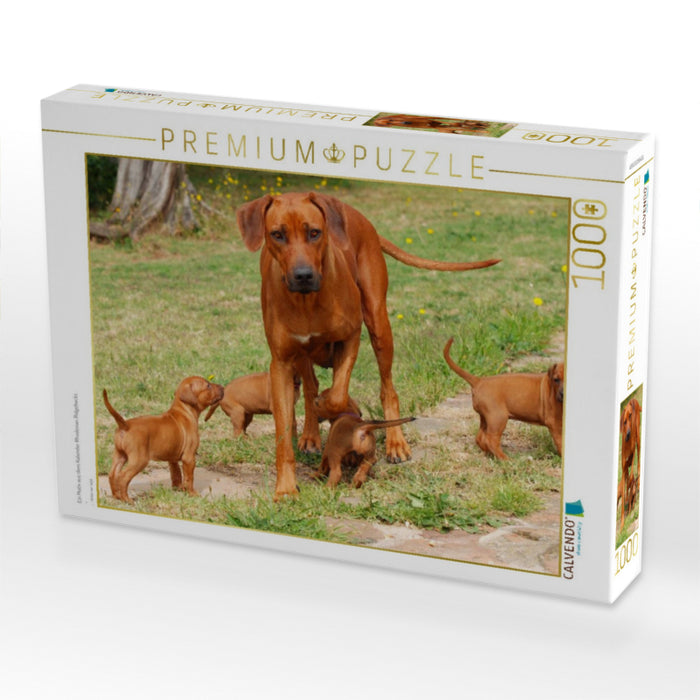 Ein Motiv aus dem Kalender Rhodesian Ridgebacks - CALVENDO Foto-Puzzle'