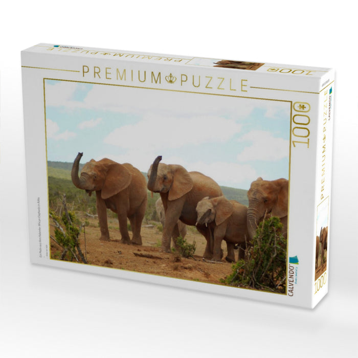 Ein Motiv aus dem Kalender African Elephants in Addo - CALVENDO Foto-Puzzle'
