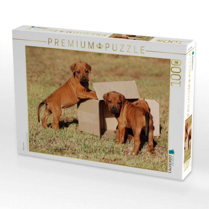 Nichts innen - CALVENDO Foto-Puzzle'