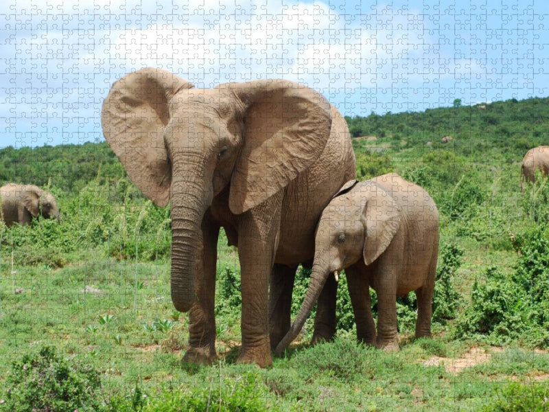 Ein Motiv aus dem Kalender African Elephants in Addo - CALVENDO Foto-Puzzle'