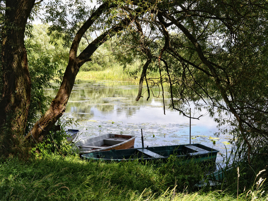 Boote unter einer alten Weide an der Havel 1000 Teile Puzzle quer - CALVENDO Foto-Puzzle'