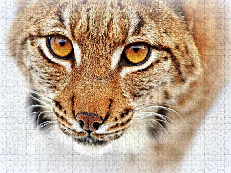 Luchs - CALVENDO Foto-Puzzle'