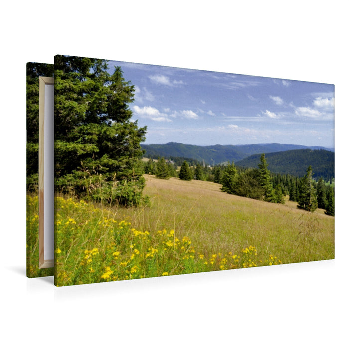 Premium Textil-Leinwand Schwarzwald