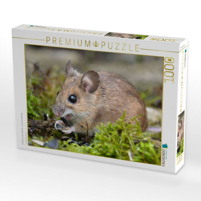 Ein Motiv aus dem Kalender ... hier kommt die Maus ... - CALVENDO Foto-Puzzle'