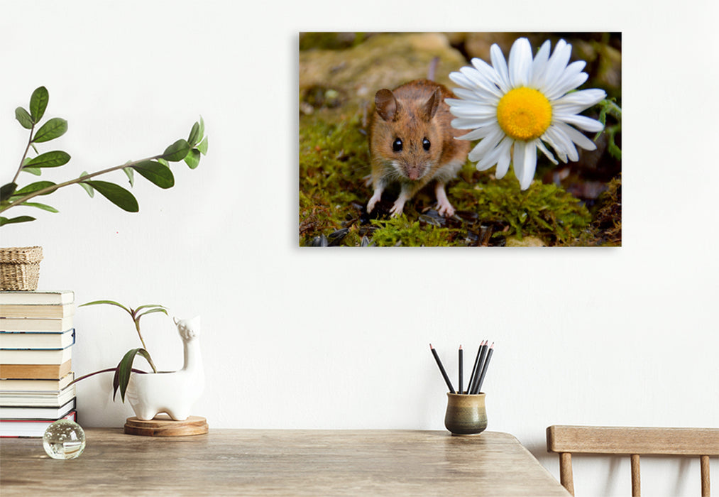 Toile textile premium Toile textile premium 120 cm x 80 cm paysage souris avec fleur de marguerite 