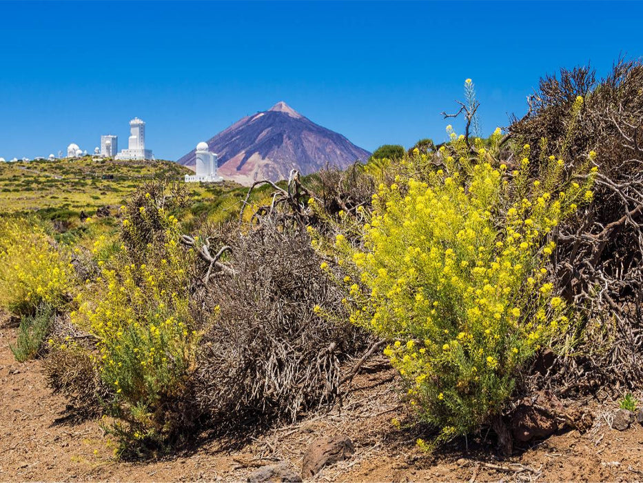 Vulkan Teide auf Teneriffa - CALVENDO Foto-Puzzle'