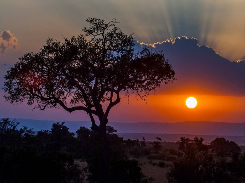 Sonnenuntergang in der Masai Mara in Kenia - CALVENDO Foto-Puzzle'
