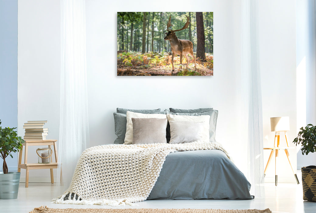 Premium Textil-Leinwand Premium Textil-Leinwand 120 cm x 80 cm quer Ein Motiv aus dem Kalender Emotionale Momente: Das Damwild.