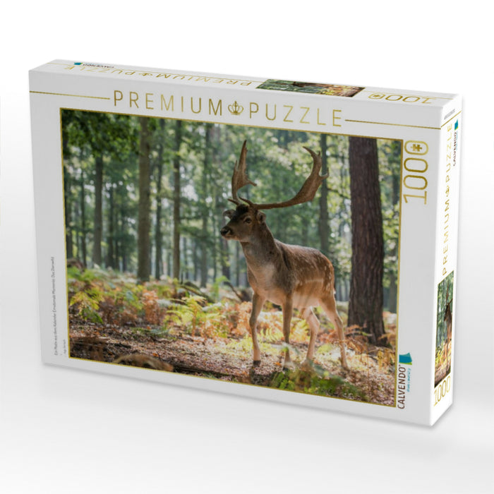 Ein Motiv aus dem Kalender Emotionale Momente: Das Damwild. - CALVENDO Foto-Puzzle'