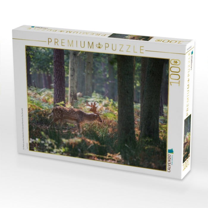 Ein Motiv aus dem Kalender Emotionale Momente: Das Damwild. - CALVENDO Foto-Puzzle'