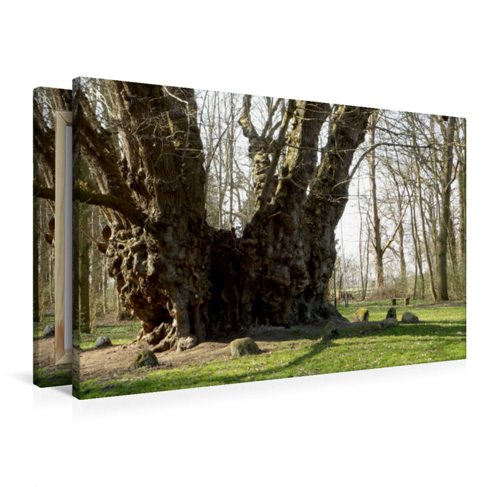 Premium Textil-Leinwand Uralt