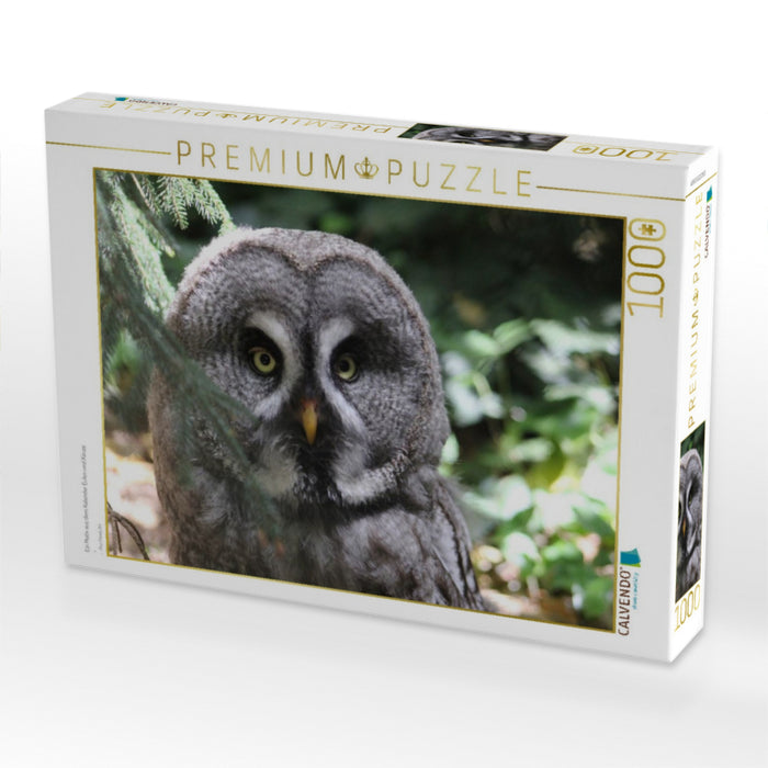 Ein Motiv aus dem Kalender Eulen und Käuze - CALVENDO Foto-Puzzle'