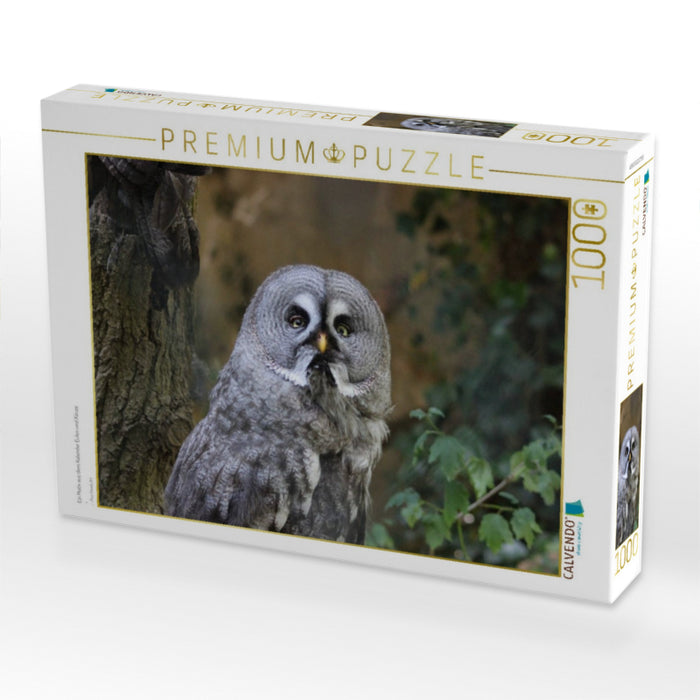 Ein Motiv aus dem Kalender Eulen und Käuze - CALVENDO Foto-Puzzle'