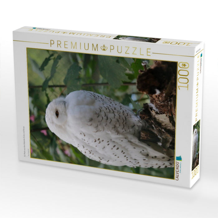 Ein Motiv aus dem Kalender Eulen und Käuze - CALVENDO Foto-Puzzle'